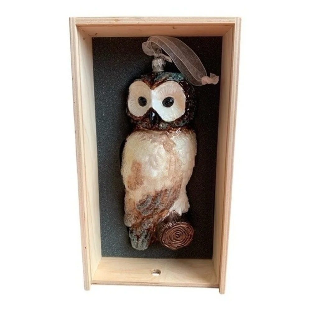 Rare Polish Blown Glass Owl Christmas Ornament 9